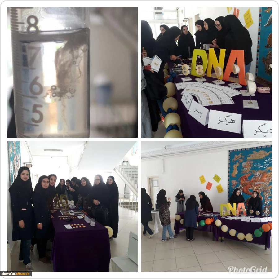 نمایشگاه دانستنی های جالب ژنتیکی 3