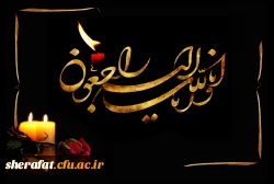 پرستوی کوچکمان، در آخرین روز بهار پر کشید...
وخانواده شرافت را سیاه پوش کرد... 2