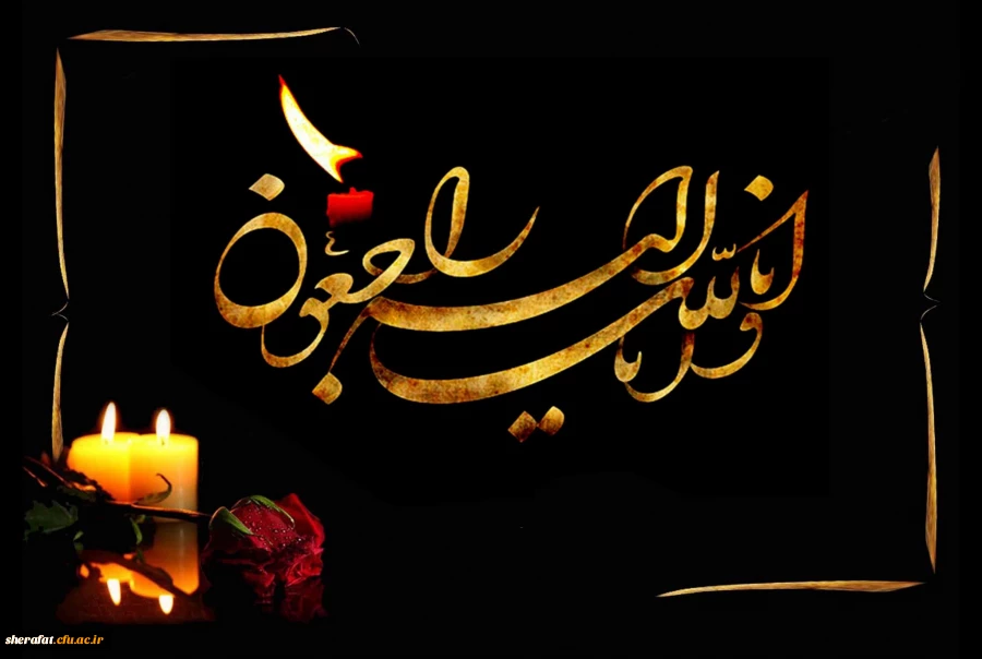 پرستوی کوچکمان، در آخرین روز بهار پر کشید...
وخانواده شرافت را سیاه پوش کرد... 2