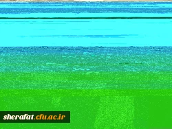 راه اندازی پژوهشکده دانشگاه فرهنگیان در محل مرکزآموزش عالی شهید شرافت 4