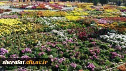 بازدید دانشجویان زیست شناسی مرکز آموزش شهید شرافت از باغ گیاه شناسی 2