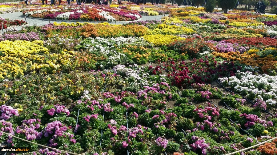 بازدید دانشجویان زیست شناسی مرکز آموزش شهید شرافت از باغ گیاه شناسی 2