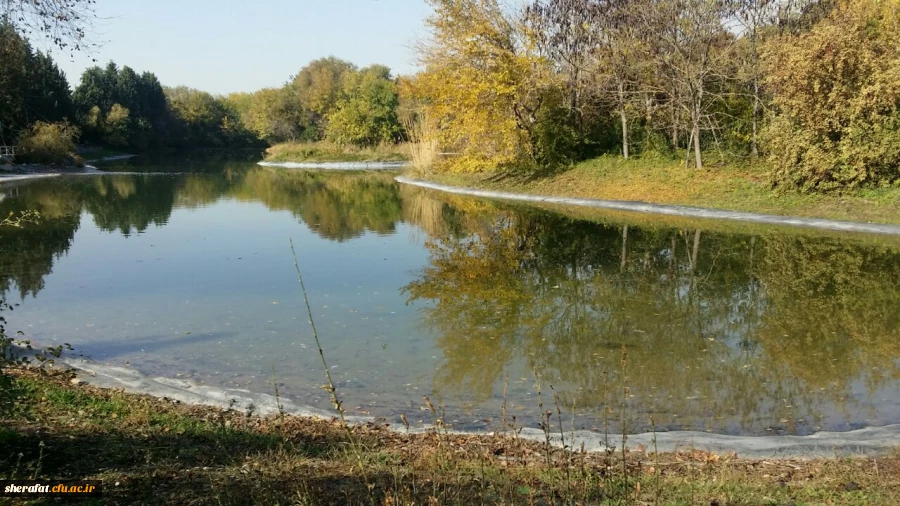 بازدید دانشجویان زیست شناسی مرکز آموزش شهید شرافت از باغ گیاه شناسی 6