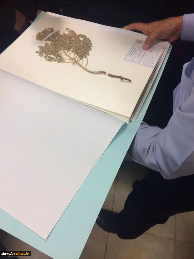 بازدید دانشجویان زیست شناسی مرکز آموزش شهید شرافت از هرباریوم پژوهشکده گیاهان دارویی 2