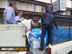 سیل مهربانی 3