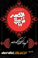 شهادت امام علی