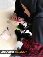 بسیج دانشجویی مرکز آموزش عالی شهید شرافت برگزار کرد

16 آذر روز ماست 2