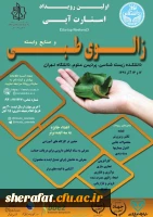 اولین رویداد استارت آپی 