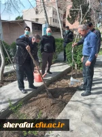 کاشت نهال به مناسبت روز درختکاری 2
