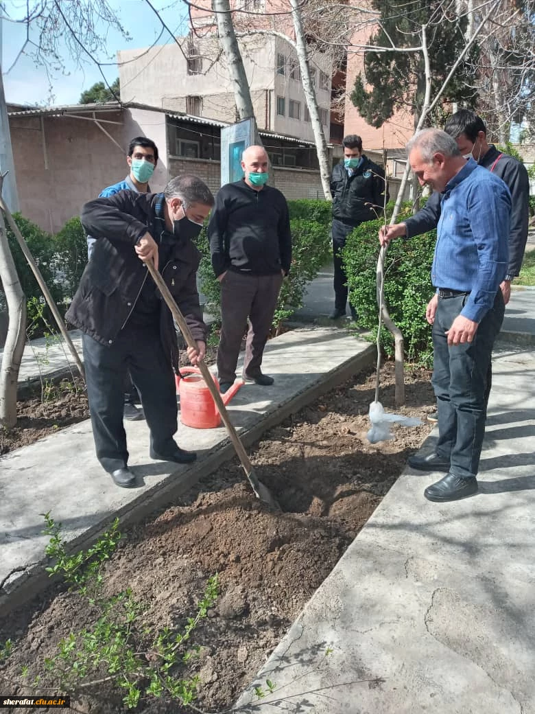 کاشت نهال به مناسبت روز درختکاری 2