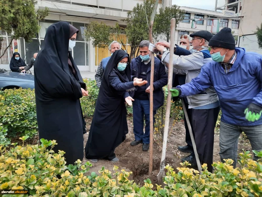 گرامیداشت روز شهید - روز درختکاری 2