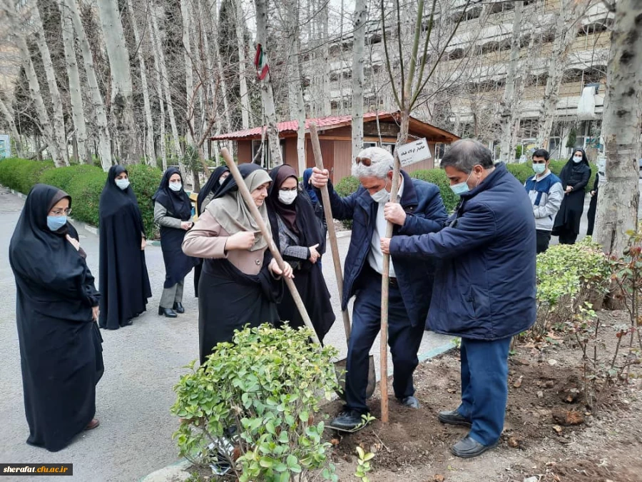 گرامیداشت روز شهید - روز درختکاری 3