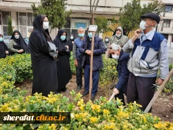 گرامیداشت روز شهید - روز درختکاری 4