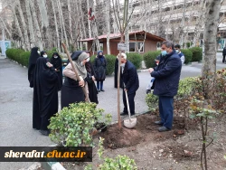 گرامیداشت روز شهید - روز درختکاری 5