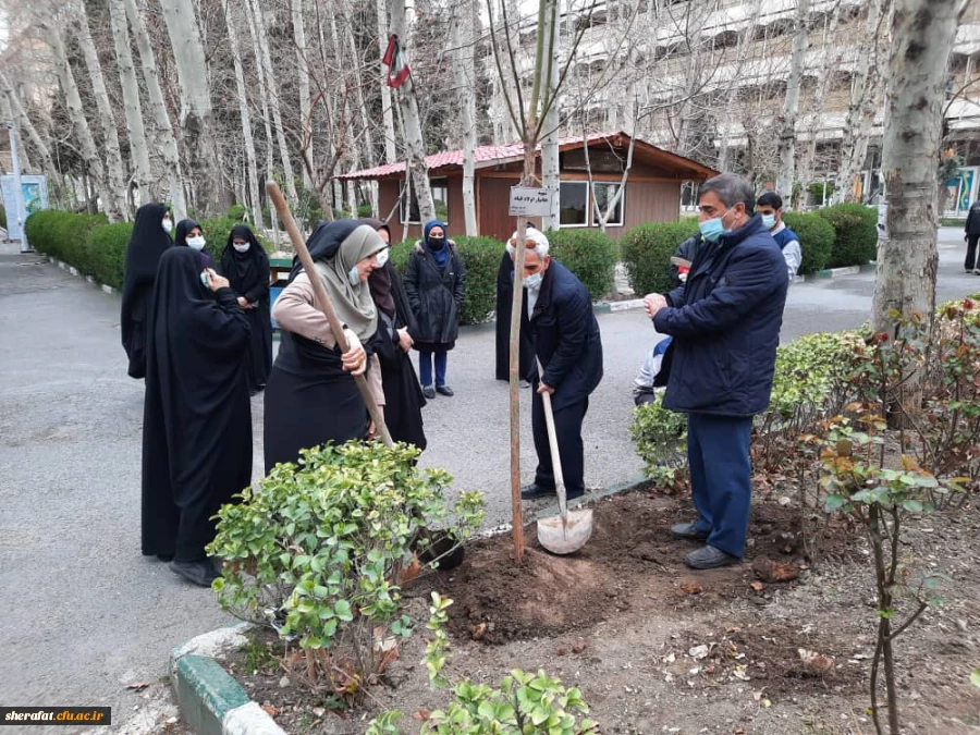 گرامیداشت روز شهید - روز درختکاری 5