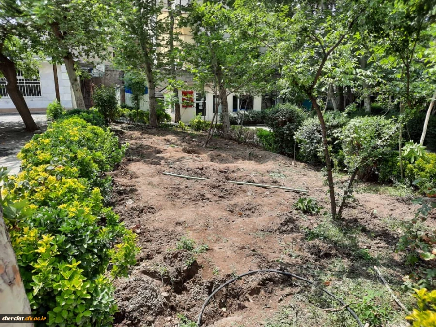 آماده سازی مرکز جهت تدفین شهید