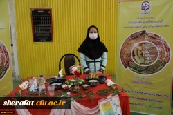 جشنواره غذا