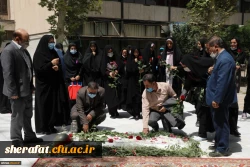 جشنواره غذا