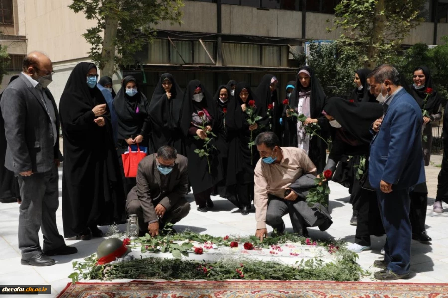 جشنواره غذا