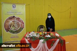 جشنواره غذا