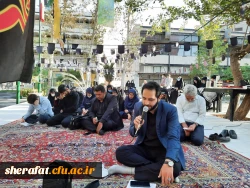 زیارت عاشورا