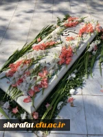 برگزاری مراسم گرامیداشت روز 13 آبان ماه در مرکز آموزش عالی شهید شرافت به روایت تصویر 2