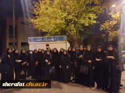 مراسم سوگواری ایام فاطمیه 2