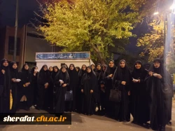 مراسم سوگواری ایام فاطمیه 3