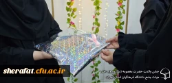 برگزاری مراسم روز دختر و جشن میلاد حضرت معصومه (س) 7