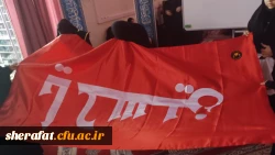 مراسم عزاداری دهه اول فاطمیه 9