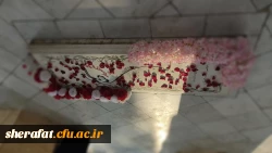 نشست هم اندیشی بسیج استادی 2