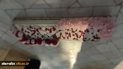 نشست هم اندیشی بسیج استادی