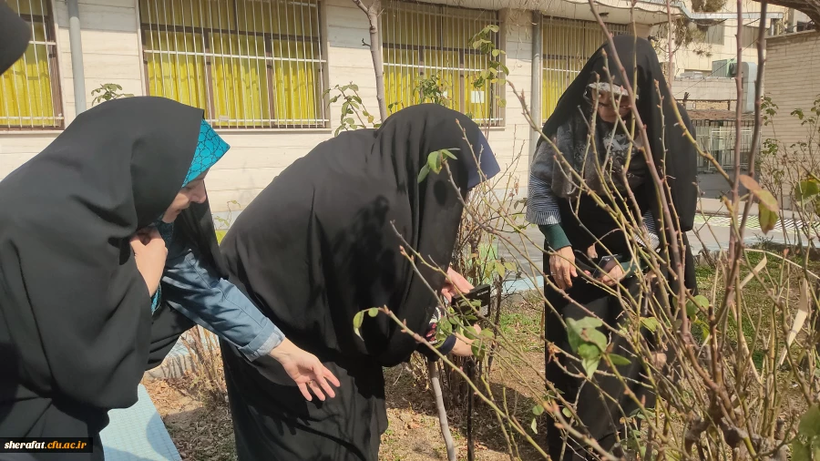 پروژه  
      • ⌝ شناسنامه دار کردن درختان مرکز با رویکرد باغ گیاه شناسی⌞ • 5