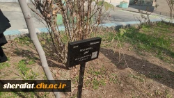 پروژه  
      • ⌝ شناسنامه دار کردن درختان مرکز با رویکرد باغ گیاه شناسی⌞ • 6