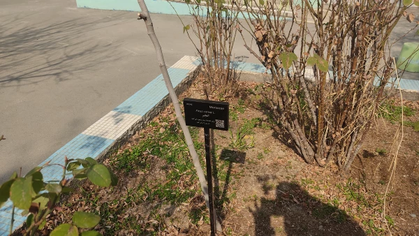 پروژه  
      • ⌝ شناسنامه دار کردن درختان مرکز با رویکرد باغ گیاه شناسی⌞ • 8