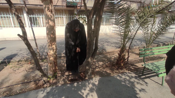 پروژه  
      • ⌝ شناسنامه دار کردن درختان مرکز با رویکرد باغ گیاه شناسی⌞ • 9