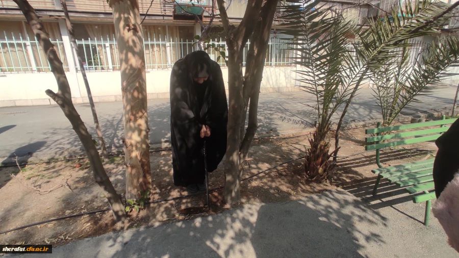 پروژه  
      • ⌝ شناسنامه دار کردن درختان مرکز با رویکرد باغ گیاه شناسی⌞ • 9