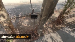 پروژه  
      • ⌝ شناسنامه دار کردن درختان مرکز با رویکرد باغ گیاه شناسی⌞ • 10