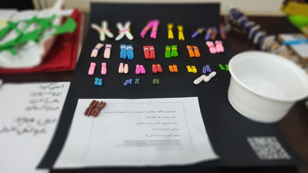 نمایشگاه 
«خلاقیت در آموزش علوم تجربی و زیست شناسی» 2