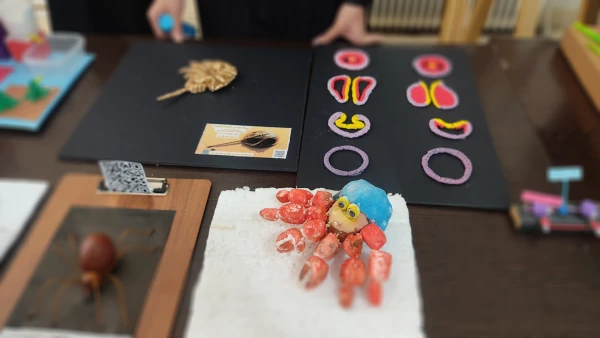 نمایشگاه 
«خلاقیت در آموزش علوم تجربی و زیست شناسی» 3