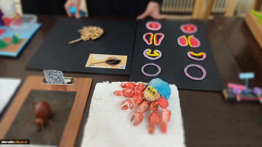 نمایشگاه 
«خلاقیت در آموزش علوم تجربی و زیست شناسی» 3