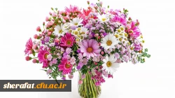 پیام تبریک رئیس دانشکده شهید شرافت به دانشجویان برگزیده جشنواره تخصصی تدریس برتر کشوری 2