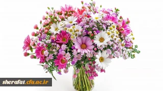 پیام تبریک رئیس دانشکده شهید شرافت به دانشجویان برگزیده جشنواره تخصصی تدریس برتر کشوری