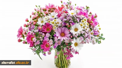 پیام تبریک رئیس دانشکده شهید شرافت به دانشجویان برگزیده جشنواره تخصصی تدریس برتر کشوری