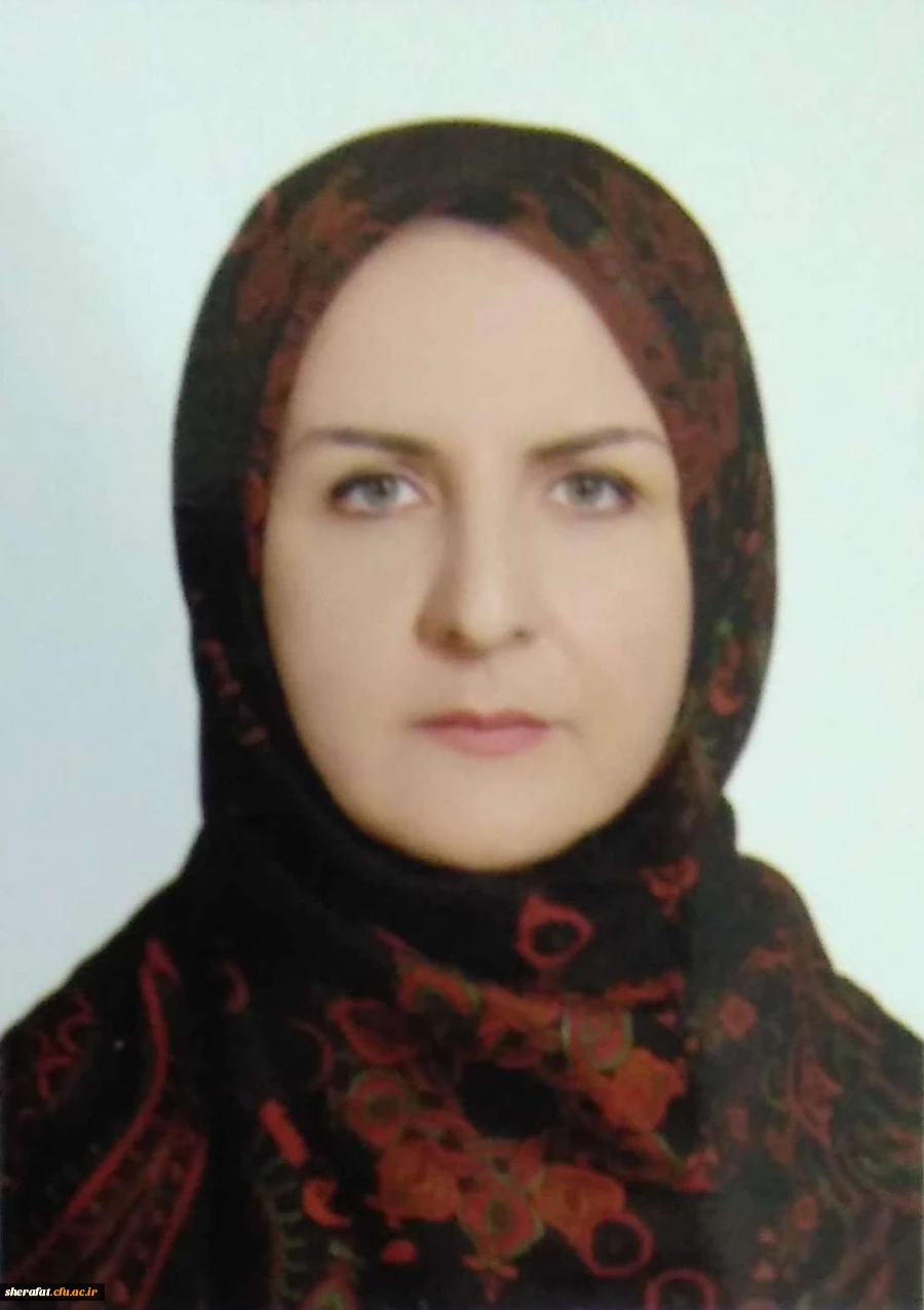 نقیبی